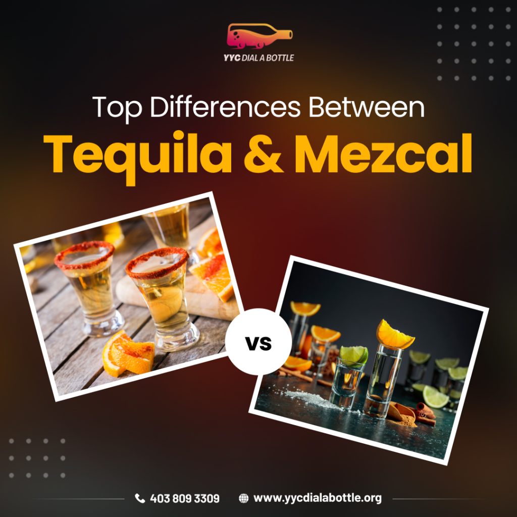 Top Differences Between Tequila and Mezcal 